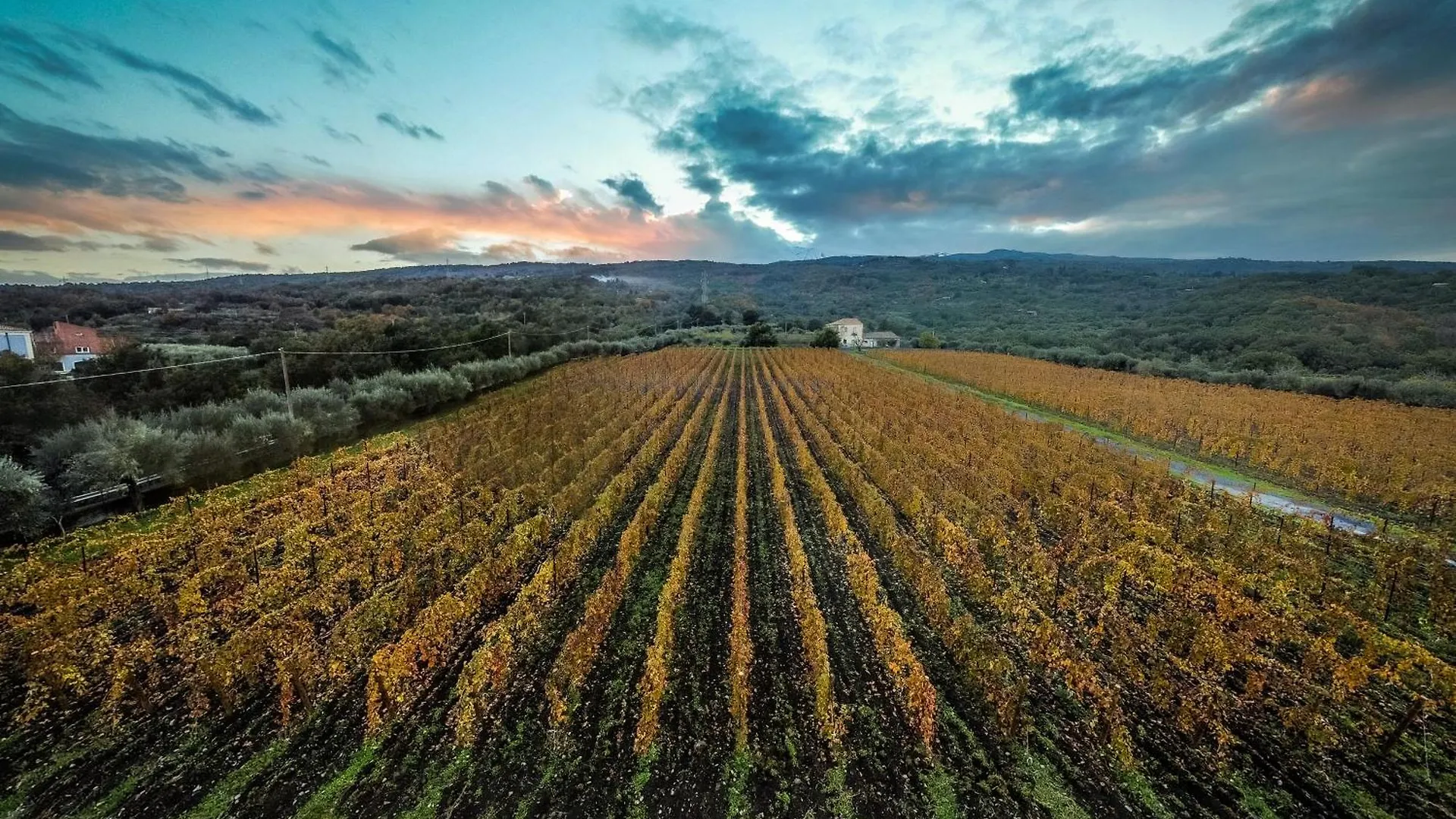 Farm stay Casa Arrigo Villa Linguaglossa