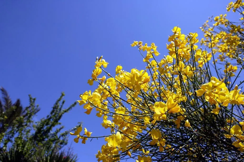 Casa Arrigo Villa Linguaglossa Farm stay